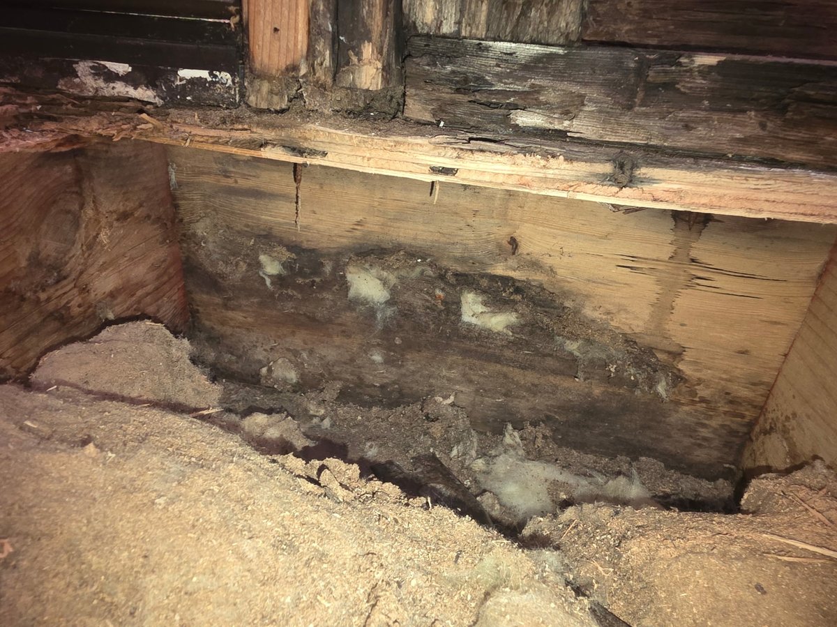 Water and rot damage to a subfloor