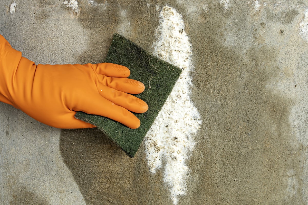 Professional mold remediation with protective equipment scrubbing mold from wall